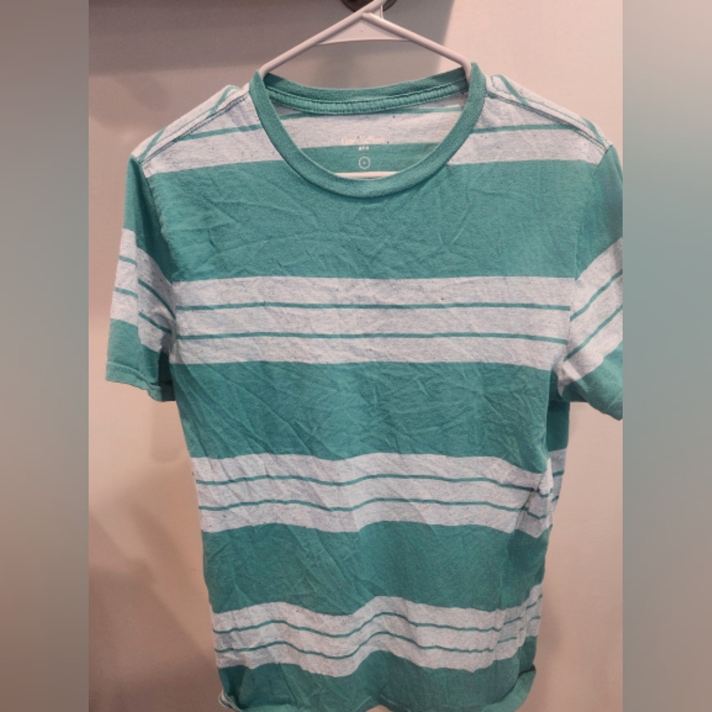 Goodfellow & Co Slim Fit Short Sleeve T-Shirt Teal and White Stripe